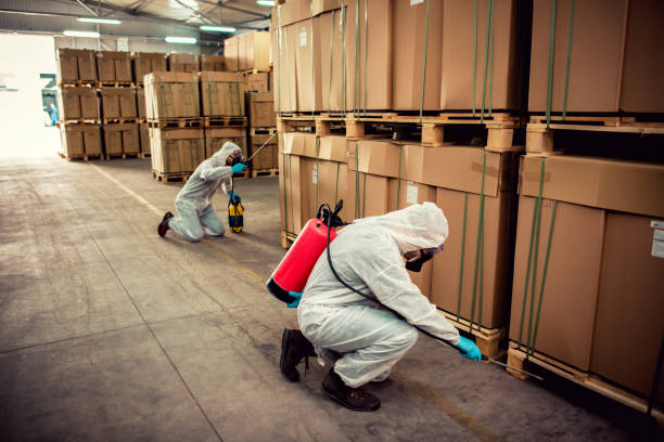 Best Rat Extermination Near Me  in Montebello, NY