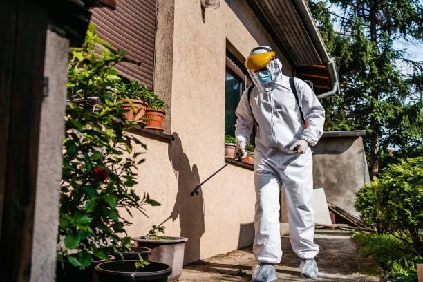 Best Best Pest Control Companies  in Montebello, NY
