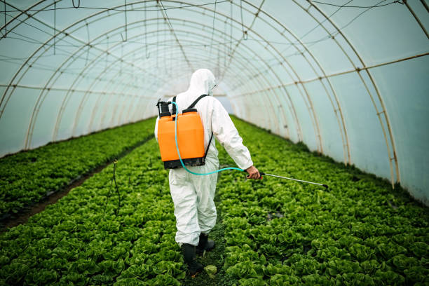 Best Local Pest Control Services  in Montebello, NY