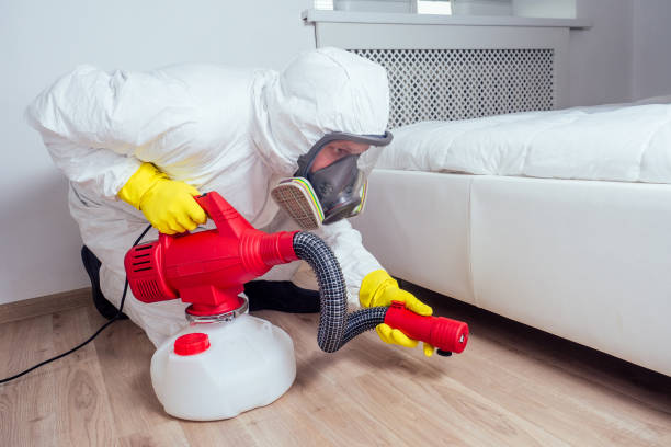 Best Rat Extermination Near Me  in Montebello, NY