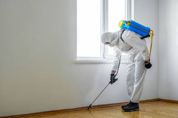 Best Affordable Pest Control Services  in Montebello, NY