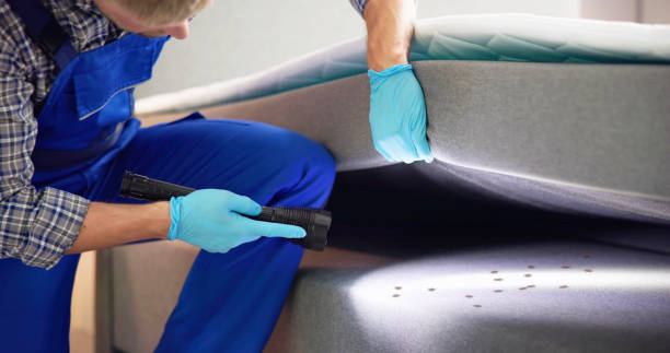 Best Affordable Pest Control Services  in Montebello, NY